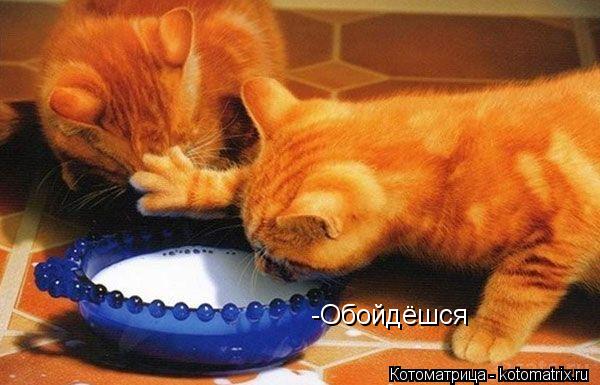 -Обойдёшся... Котоматрица: -Обойдёшся