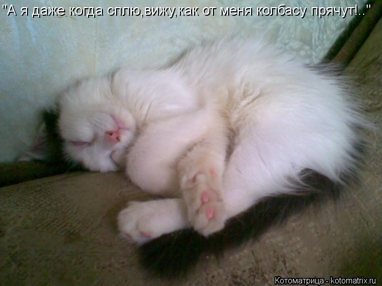 "А я даже когда сплю,вижу,как от меня колбасу прячут!.."... Котоматрица: "А я даже когда сплю,вижу,как от меня колбасу прячут!.."