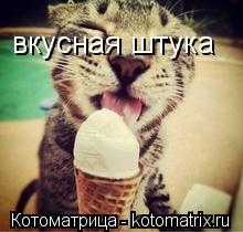вкусная штука... Котоматрица: вкусная штука