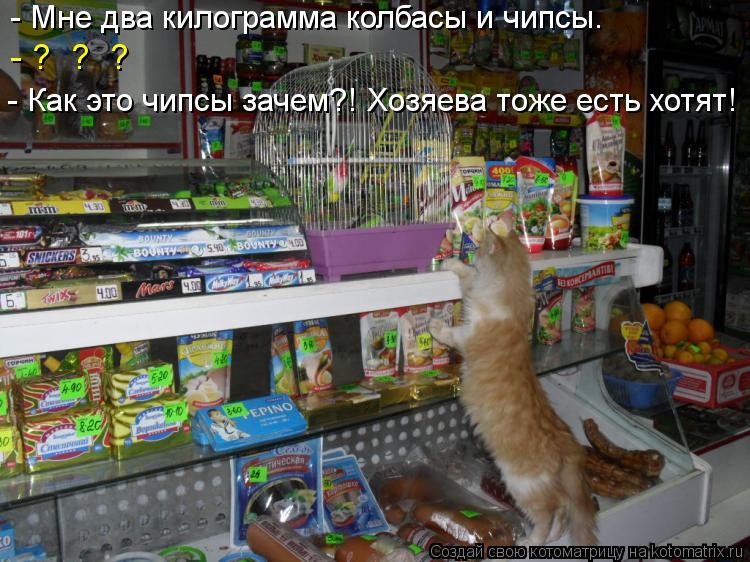- Мне два килограмма колбасы и чипсы. - ? ? ? - Как это чипсы зачем?! Хозяева тоже есть хотят!... Котоматрица: - Мне два килограмма колбасы и чипсы. - ? ? ? - Как это чипсы зачем?! Хозяева тоже есть хотят!