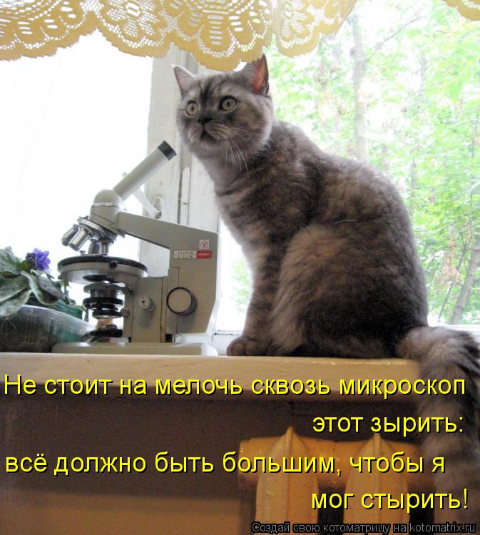 всё должно быть большим, чтобы я мог стырить! этот зырить: Не стоит на мелочь сквозь микроскоп... Котоматрица: всё должно быть большим, чтобы я мог стырить! этот зырить: Не стоит на мелочь сквозь микроскоп