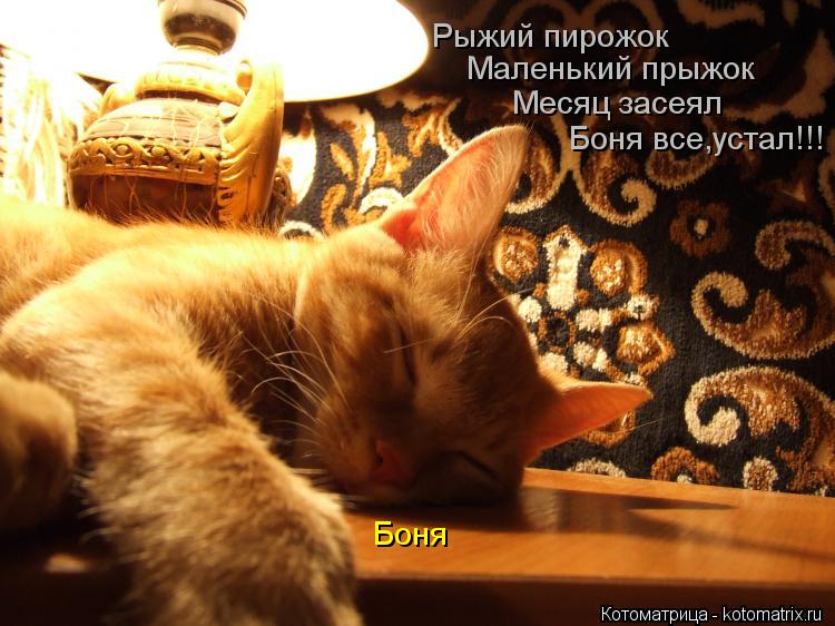 Котоматрица: Рыжий пирожок Маленький прыжок Боня все,устал!!! Месяц засеял Боня
