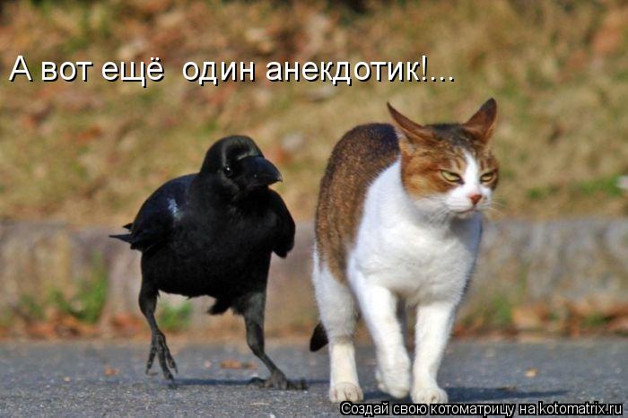 Котоматрица: А вот ещё  один анекдотик!...