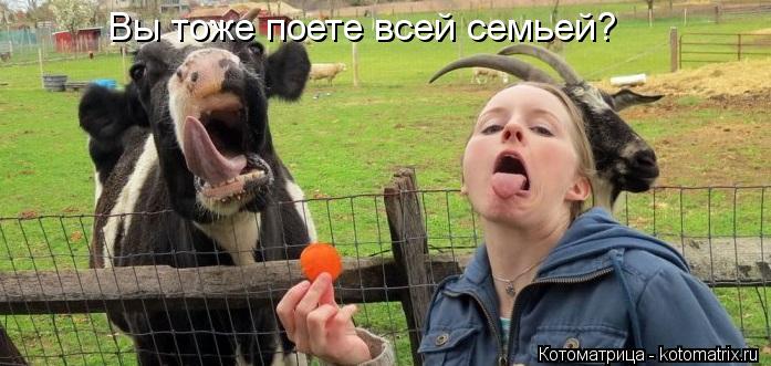 Вы тоже поете всей семьей?... Котоматрица: Вы тоже поете всей семьей?