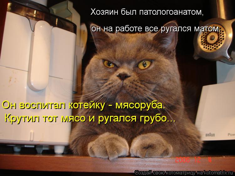 Хозяин был патологоанатом, он на работе все ругался матом. Он воспитал котейку - мясоруба. Крутил то... Котоматрица: Хозяин был патологоанатом, он на работе все ругался матом. Он воспитал котейку - мясоруба. Крутил тот мясо и ругался грубо...