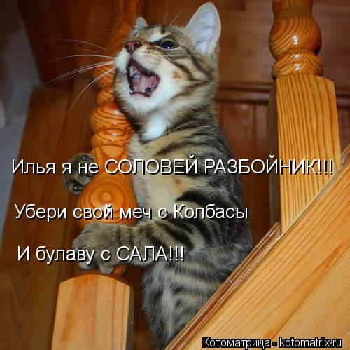 Илья я не СОЛОВЕЙ РАЗБОЙНИК!!! Убери свой меч с Колбасы И булаву с САЛА!!!... Котоматрица: Илья я не СОЛОВЕЙ РАЗБОЙНИК!!! Убери свой меч с Колбасы И булаву с САЛА!!!