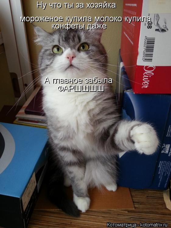 Ну что ты за хозяйка мороженое купила молоко купила конфеты даже А главное забыла ФАРШШШШ... Котоматрица: Ну что ты за хозяйка мороженое купила молоко купила конфеты даже А главное забыла ФАРШШШШ