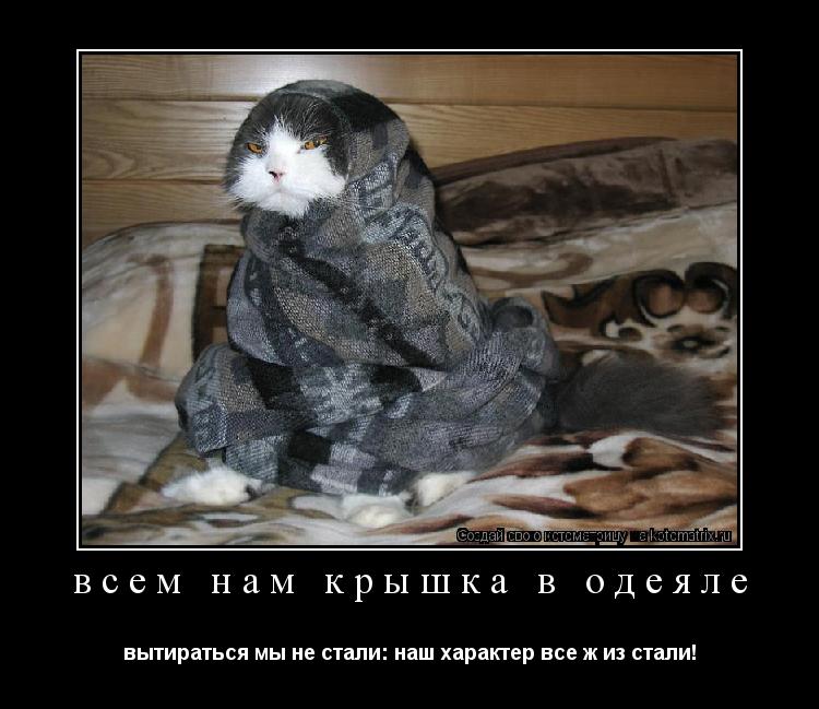 всем нам крышка в одеяле вытираться мы не стали: наш характер все ж из стали!... Котоматрица: всем нам крышка в одеяле вытираться мы не стали: наш характер все ж из стали!
