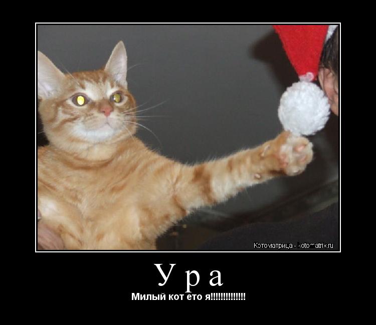 Котоматрица: Ура Милый кот ето я!!!!!!!!!!!!!!