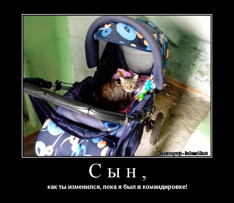 Сын, как ты изменился, пока я был в командировке!... Котоматрица: Сын, как ты изменился, пока я был в командировке!
