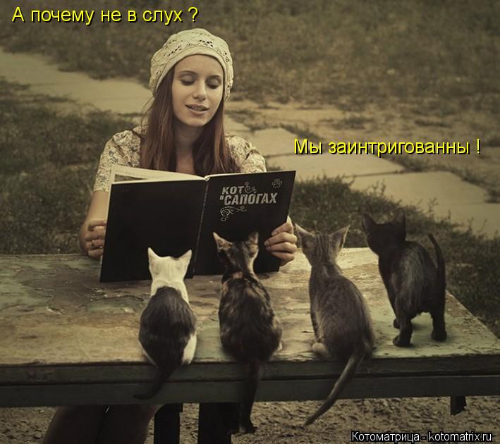 А почему не в слух ? Мы заинтригованны !... Котоматрица: А почему не в слух ? Мы заинтригованны !