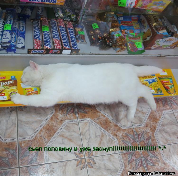 сьел половину и уже заснул!!!!!!!!!!!!!!!!!!!!!!! ^-^... Котоматрица: сьел половину и уже заснул!!!!!!!!!!!!!!!!!!!!!!! ^-^