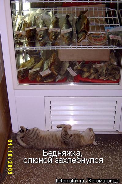Бедняжка, слюной захлебнулся... Котоматрица: Бедняжка, слюной захлебнулся