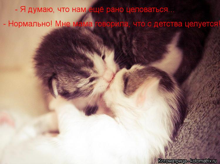 - Я думаю, что нам ещё рано целоваться... - Нормально! Мне мама говорила, что с детства целуется!... Котоматрица: - Я думаю, что нам ещё рано целоваться... - Нормально! Мне мама говорила, что с детства целуется!
