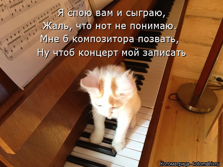 Я спою вам и сыграю, Жаль, что нот не понимаю. Мне б композитора позвать, Ну чтоб концерт мой записат... Котоматрица: Я спою вам и сыграю, Жаль, что нот не понимаю. Мне б композитора позвать, Ну чтоб концерт мой записать