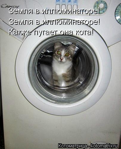 Земля в иллюминаторе! Земля в иллюминаторе! Какже пугает она кота!... Котоматрица: Земля в иллюминаторе! Земля в иллюминаторе! Какже пугает она кота!