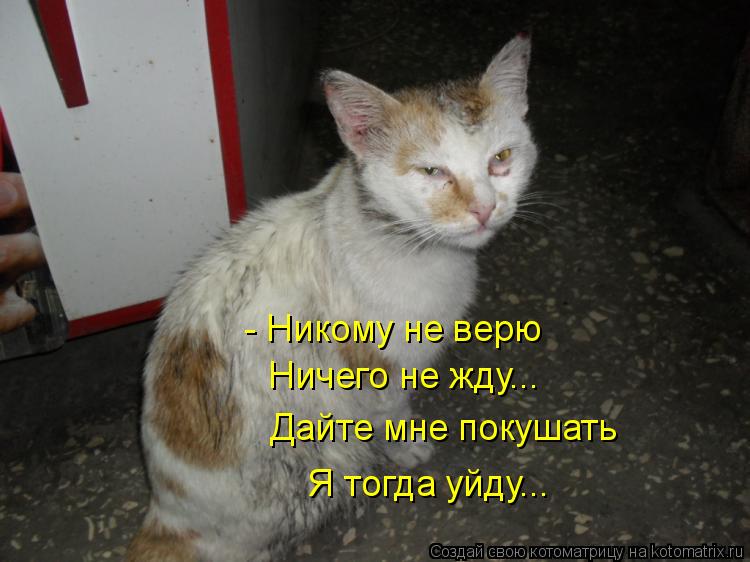 - Никому не верю Ничего не жду... Дайте мне покушать Я тогда уйду...... Котоматрица: - Никому не верю Ничего не жду... Дайте мне покушать Я тогда уйду...