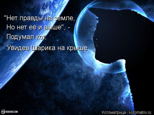 "Нет правды на земле, Но нет её и выше", - Подумал кот, Увидев Шарика на крыше... Котоматрица: "Нет правды на земле, Но нет её и выше", - Подумал кот, Увидев Шарика на крыше