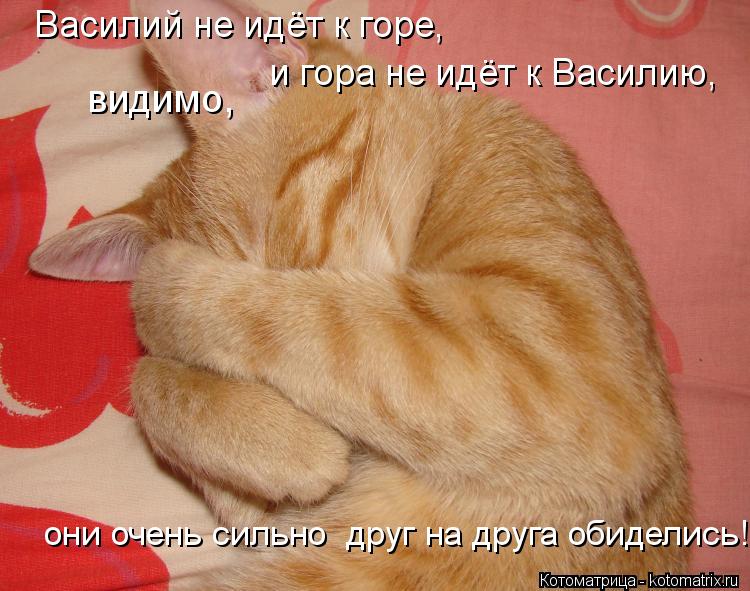 они очень сильно друг на друга обиделись! Василий не идёт к горе, и гора не идёт к Василию, видимо... Котоматрица: они очень сильно друг на друга обиделись! Василий не идёт к горе, и гора не идёт к Василию, видимо,