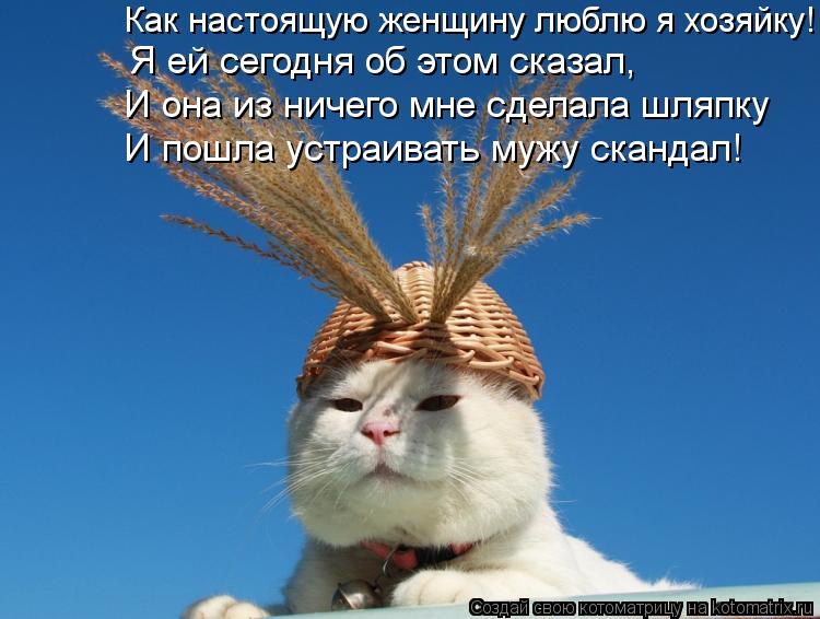 Как настоящую женщину люблю я хозяйку! Я ей сегодня об этом сказал, И она из ничего мне сделала шляпк... Котоматрица: Как настоящую женщину люблю я хозяйку! Я ей сегодня об этом сказал, И она из ничего мне сделала шляпку И пошла устраивать мужу скандал!