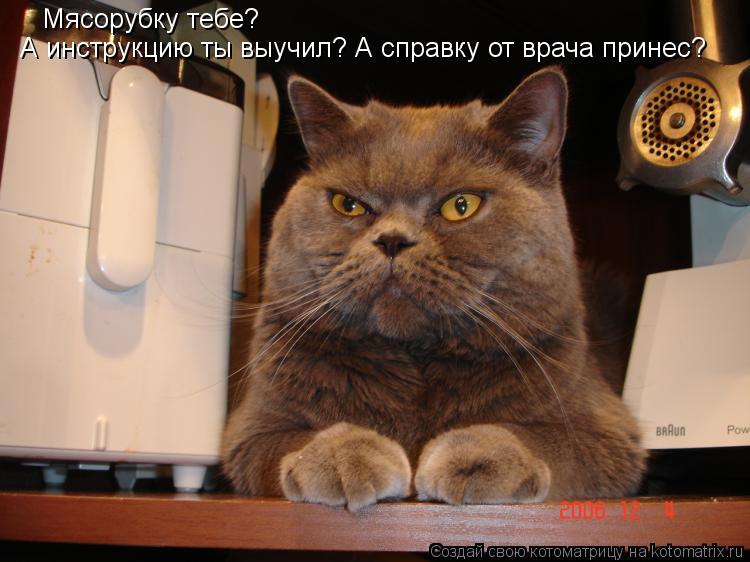Мясорубку тебе? А инструкцию ты выучил? А справку от врача принес?... Котоматрица: Мясорубку тебе? А инструкцию ты выучил? А справку от врача принес?