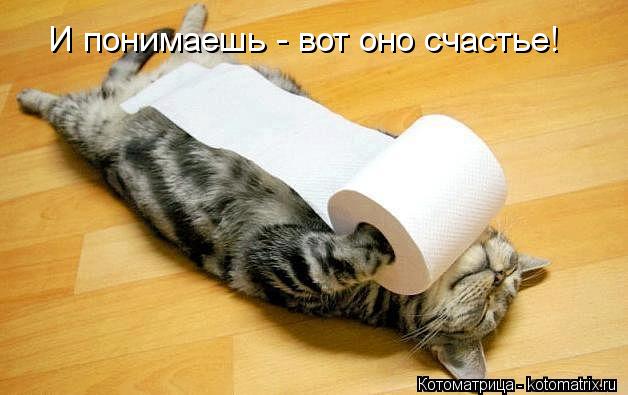 И понимаешь - вот оно счастье!... Котоматрица: И понимаешь - вот оно счастье!
