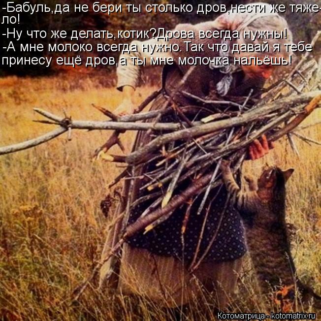 -Бабуль,да не бери ты столько дров,нести же тяже- ло! -Ну что же делать,котик?Дрова всегда нужны! -А ... Котоматрица: -Бабуль,да не бери ты столько дров,нести же тяже- ло! -Ну что же делать,котик?Дрова всегда нужны! -А мне молоко всегда нужно.Так что давай я теб