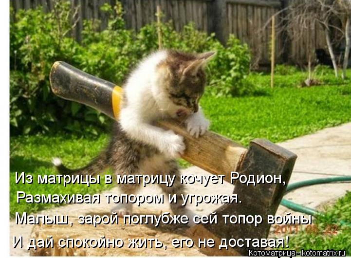 Из матрицы в матрицу кочует Родион, Размахивая топором и угрожая. Малыш, зарой поглубже сей топор вой... Котоматрица: Из матрицы в матрицу кочует Родион, Размахивая топором и угрожая. Малыш, зарой поглубже сей топор войны И дай спокойно жить, его не доставая!