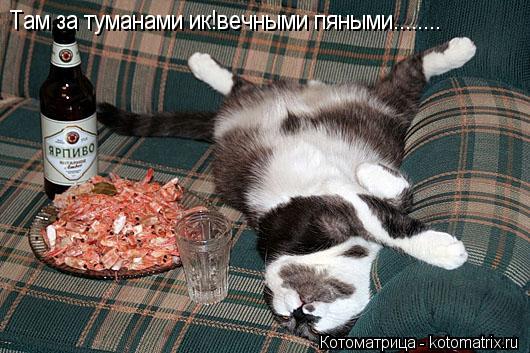 Там за туманами ик!вечными пяными........... Котоматрица: Там за туманами ик!вечными пяными........