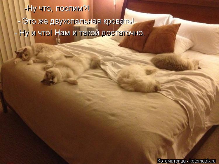 Ну что, поспим?! - Это же двухспальная кровать! - Это же двухспальная кровать! -Ну что, поспим?! - ... Котоматрица: Ну что, поспим?! - Это же двухспальная кровать! - Это же двухспальная кровать! -Ну что, поспим?! - Ну и что! Нам и такой достаточно.
