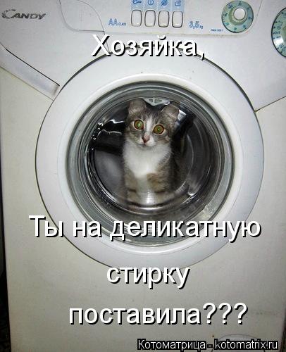 Хозяйка, Ты на деликатную стирку поставила???... Котоматрица: Хозяйка, Ты на деликатную стирку поставила???