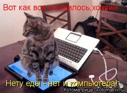 Вот как все сложилось,хозяин... Нету еды - нет и компьютера!... Котоматрица: Вот как все сложилось,хозяин... Нету еды - нет и компьютера!