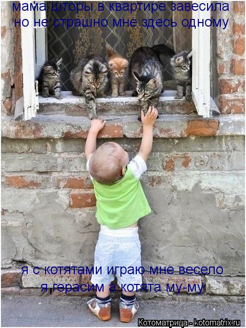 мама шторы в квартире завесила но не страшно мне здесь одному я с котятами играю мне весело я герасим... Котоматрица: мама шторы в квартире завесила но не страшно мне здесь одному я с котятами играю мне весело я герасим а котята му-му я герасим а котята му-му