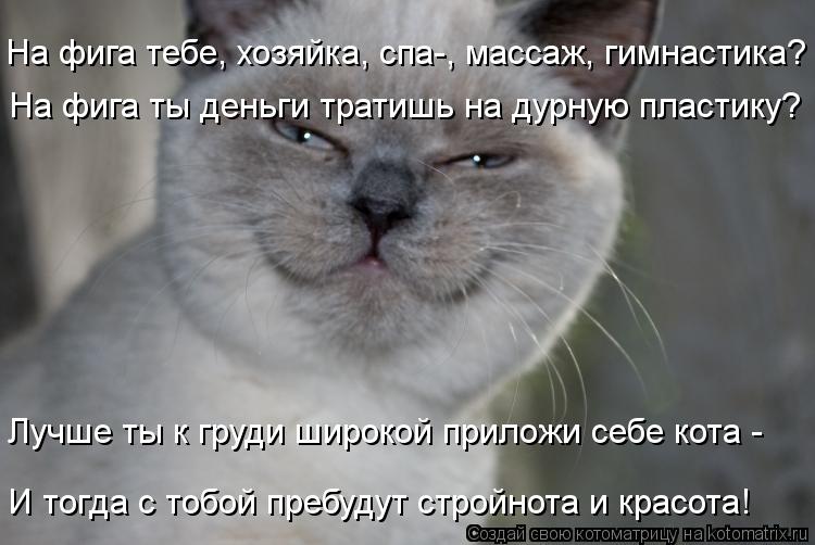 На фига тебе, хозяйка, спа-, массаж, гимнастика? На фига ты деньги тратишь на дурную пластику? Лучше ... Котоматрица: На фига тебе, хозяйка, спа-, массаж, гимнастика? На фига ты деньги тратишь на дурную пластику? Лучше ты к груди широкой приложи себе кота - И т