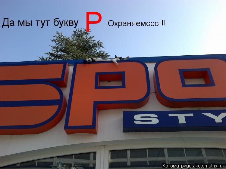 Да мы тут букву Р Охраняемссс!!!... Котоматрица: Да мы тут букву Р Охраняемссс!!!