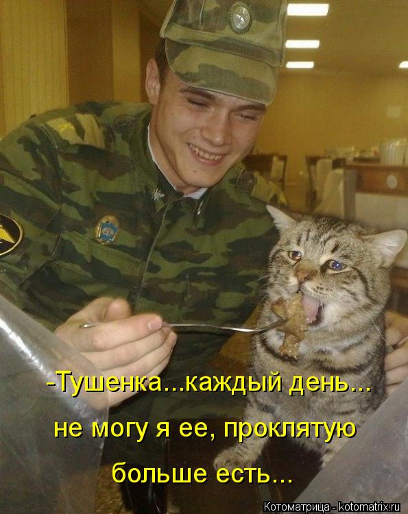 -Тушенка...каждый день... не могу я ее, проклятую больше есть...... Котоматрица: -Тушенка...каждый день... не могу я ее, проклятую больше есть...