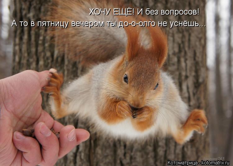 ХОЧУ ЕЩЁ! И без вопросов! А то в пятницу вечером ты до-о-олго не уснёшь...... Котоматрица: ХОЧУ ЕЩЁ! И без вопросов! А то в пятницу вечером ты до-о-олго не уснёшь...