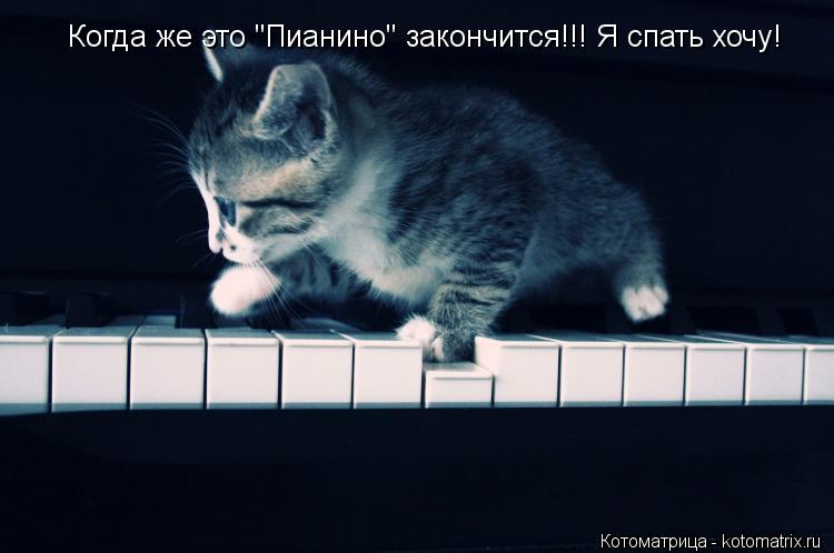 Когда же это "Пианино" закончится!!! Я спать хочу!... Котоматрица: Когда же это "Пианино" закончится!!! Я спать хочу!