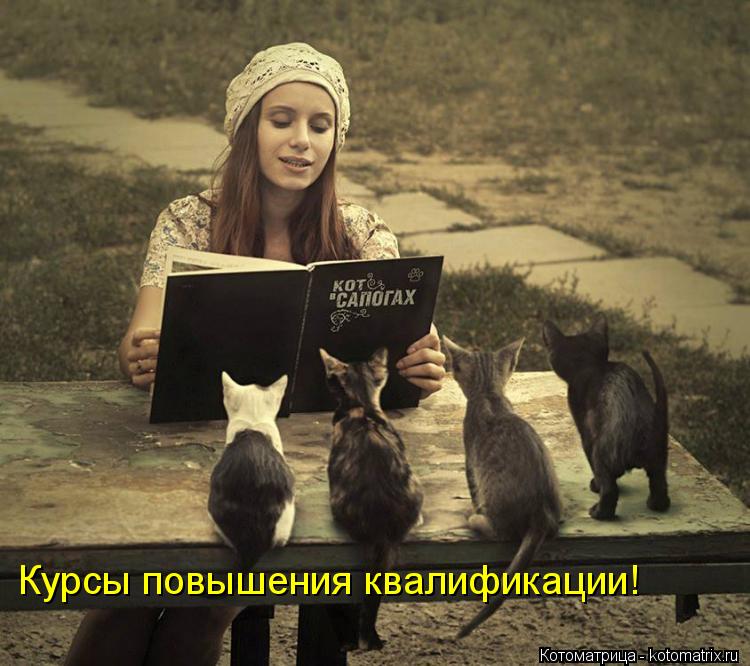 Курсы повышения квалификации!... Котоматрица: Курсы повышения квалификации!