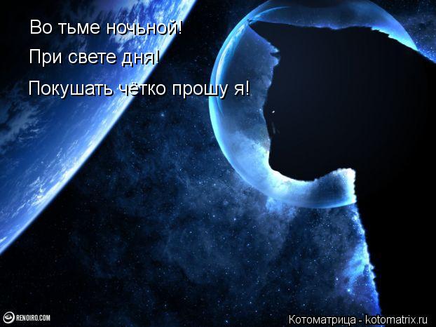 Во тьме ночьной! При свете дня! Покушать чётко прошу я!... Котоматрица: Во тьме ночьной! При свете дня! Покушать чётко прошу я!