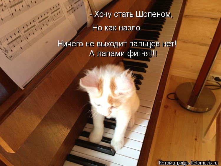 - Хочу стать Шопеном, Но как назло Ничего не выходит пальцев нет! А лапами фигня!!!... Котоматрица: - Хочу стать Шопеном, Но как назло Ничего не выходит пальцев нет! А лапами фигня!!!
