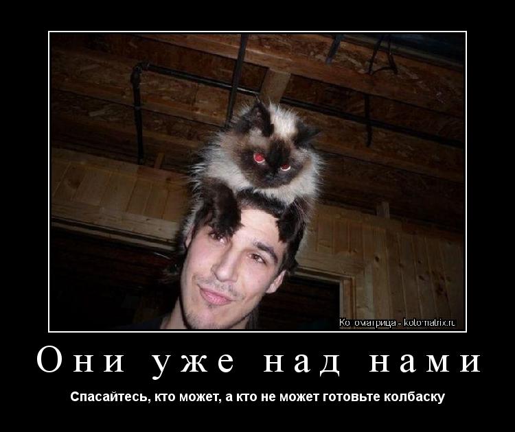 Они уже над нами Спасайтесь, кто может, а кто не может готовьте колбаску... Котоматрица: Они уже над нами Спасайтесь, кто может, а кто не может готовьте колбаску
