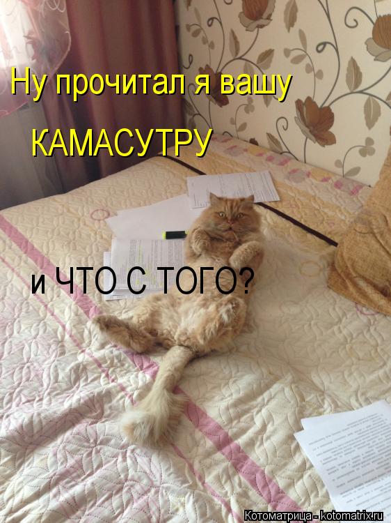 Ну прочитал я вашу КАМАСУТРУ и ЧТО С ТОГО?... Котоматрица: Ну прочитал я вашу КАМАСУТРУ и ЧТО С ТОГО?