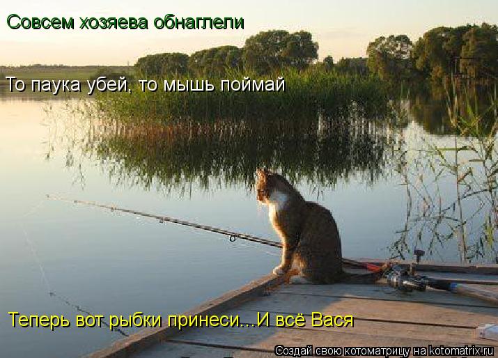 Совсем хозяева обнаглели То паука убей, то мышь поймай Теперь вот рыбки принеси...И всё Вася... Котоматрица: Совсем хозяева обнаглели То паука убей, то мышь поймай Теперь вот рыбки принеси...И всё Вася