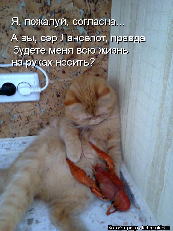 Я, пожалуй, согласна... А вы, сэр Ланселот, правда будете меня всю жизнь на руках носить?... Котоматрица: Я, пожалуй, согласна... А вы, сэр Ланселот, правда будете меня всю жизнь на руках носить?