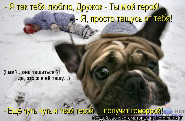 - Я так тебя люблю, Дружок - Ты мой герой! - Я, просто тащусь от тебя! (Гмм?...она тащиться!?! да, ... Котоматрица: - Я так тебя люблю, Дружок - Ты мой герой! - Я, просто тащусь от тебя! (Гмм?...она тащиться!?! да, это ж я её тащу...) - Ещё чуть чуть и твой герой ... по
