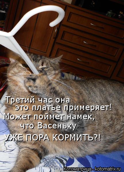 Третий час она это платье примеряет! Может поймет намек, что Васеньку УЖЕ ПОРА КОРМИТЬ?!... Котоматрица: Третий час она это платье примеряет! Может поймет намек, что Васеньку УЖЕ ПОРА КОРМИТЬ?!