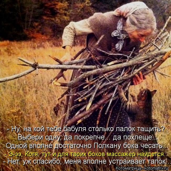 - Ну, на кой тебе бабуля столько палок тащить? Выбери одну, да покрепче... да похлеще... Одной вполне... Котоматрица: - Ну, на кой тебе бабуля столько палок тащить? Выбери одну, да покрепче... да похлеще... Одной вполне достаточно Полкану бока чесать... - Э-ээ, Кот