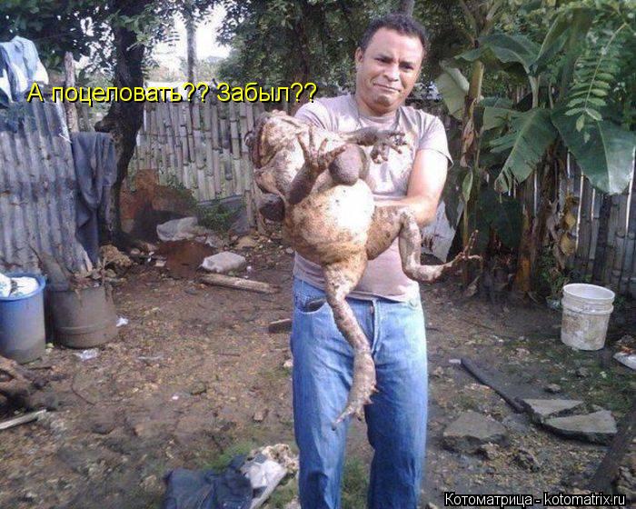 А поцеловать?? Забыл??... Котоматрица: А поцеловать?? Забыл??