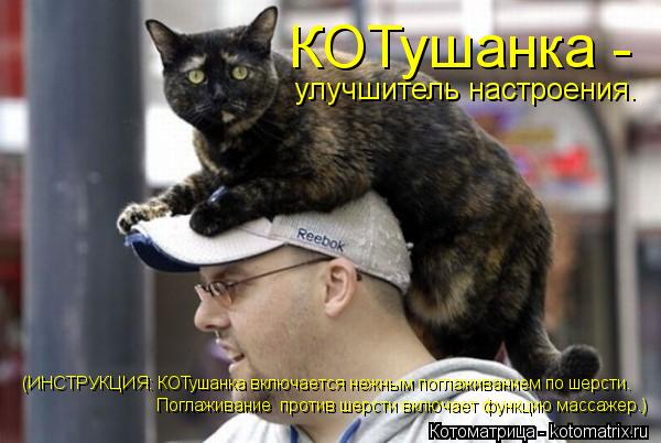 КОТушанка - улучшитель настроения. (ИНСТРУКЦИЯ: КОТушанка включается нежным поглаживанием по шерсти.... Котоматрица: КОТушанка - улучшитель настроения. (ИНСТРУКЦИЯ: КОТушанка включается нежным поглаживанием по шерсти. Поглаживание против шерсти включает